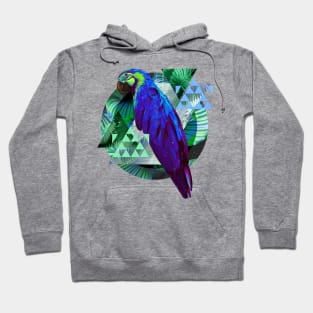 Abstract geometric Animal Hoodie